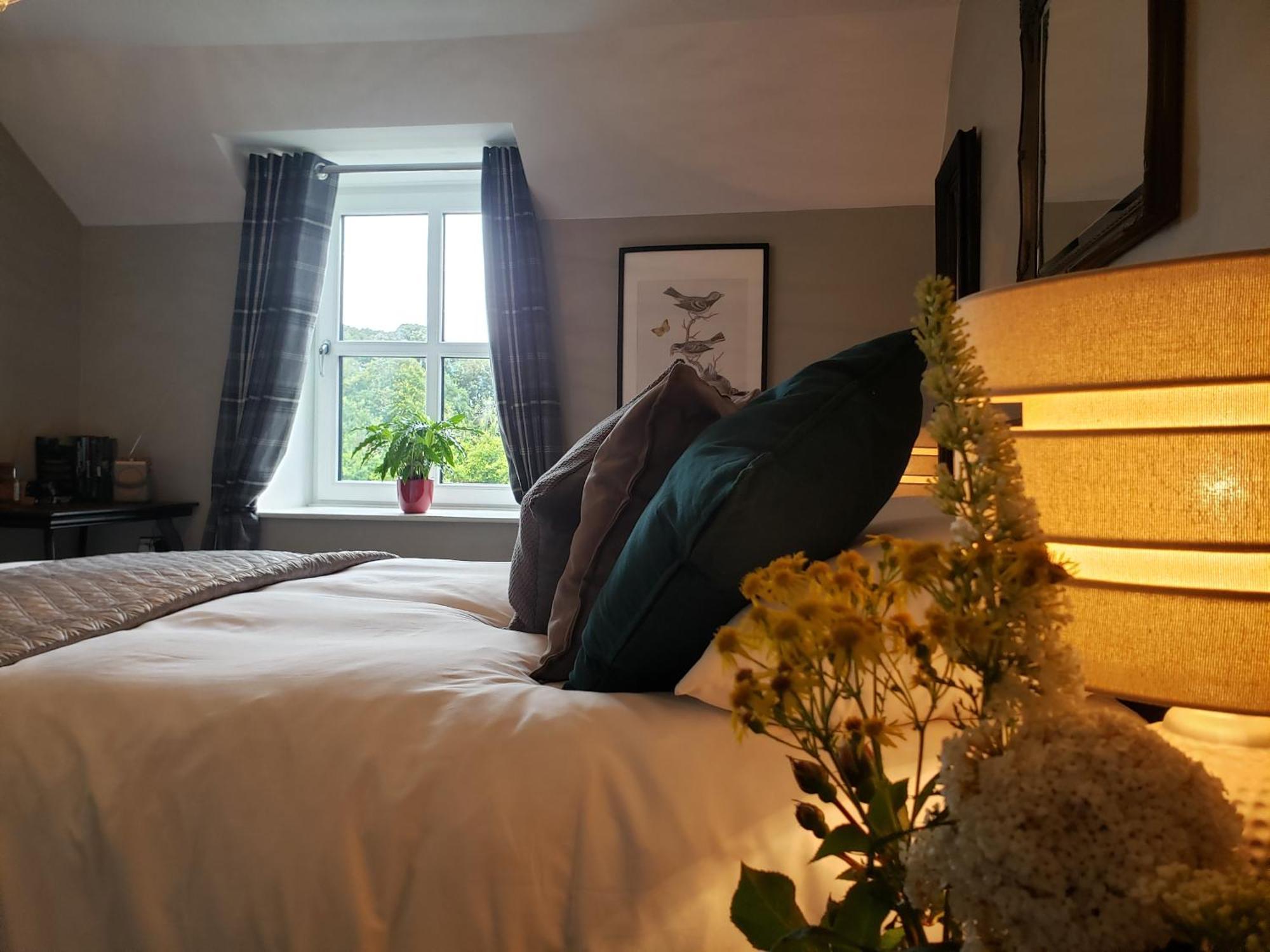 Bryansford Cottage Kültér fotó