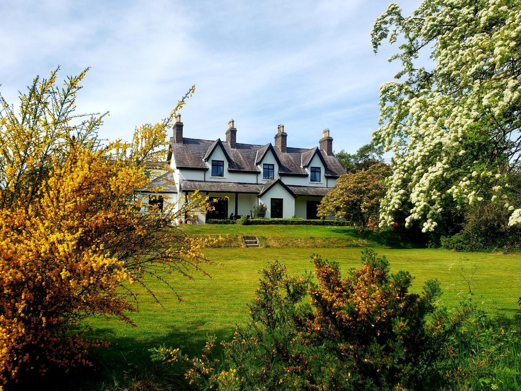 Bryansford Cottage Kültér fotó